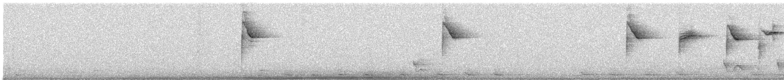 White-browed Warbler - ML642179962