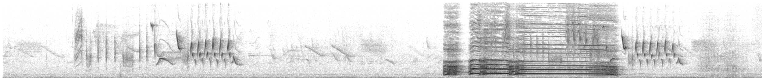 Southern House Wren - ML642180695