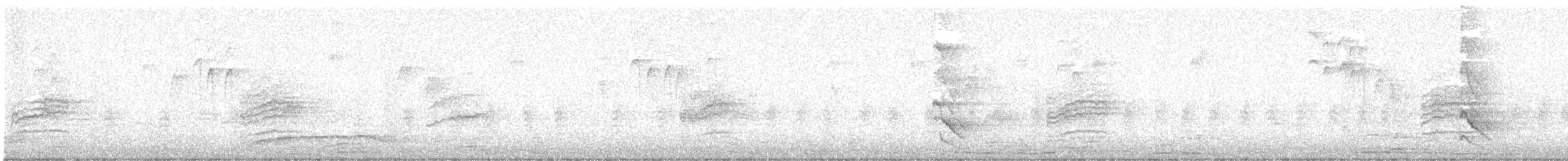 Hermit Thrush - ML642183219