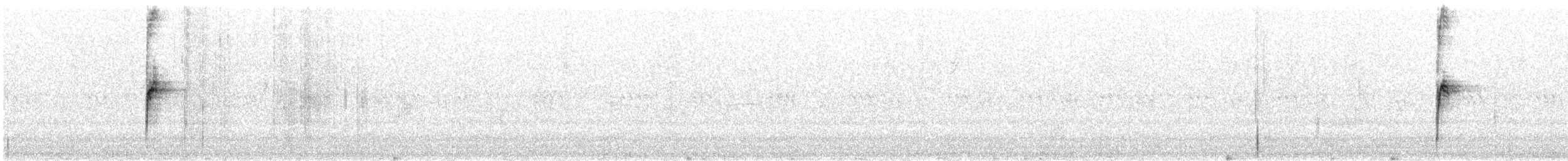 ノドジロシトド - ML642183573