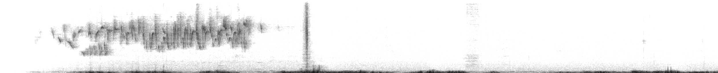 Brown Thornbill - ML642184270