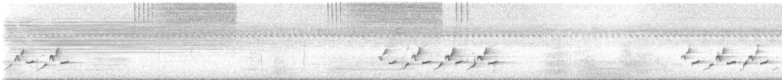 Carolina Wren - ML642186142