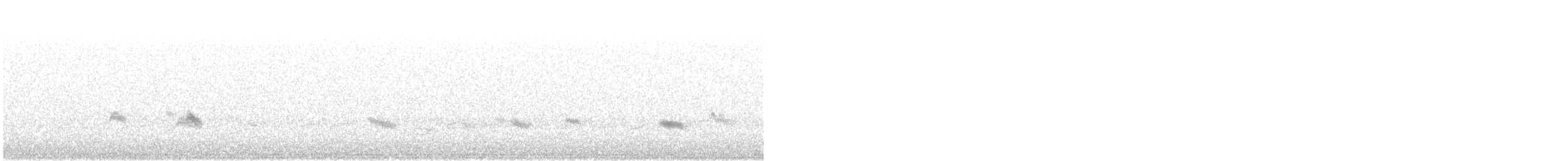 Grive des bois - ML642186593