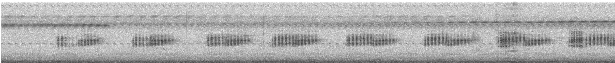 Striped Snouted Tree Frog - ML642190817