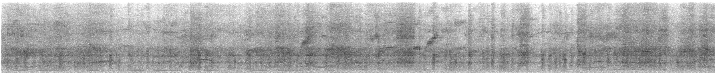 Purpurgrackel - ML642192285
