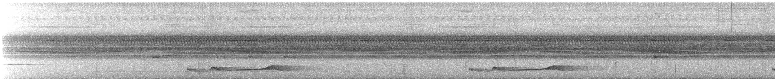 Chotacabras Coladeseda - ML642197136