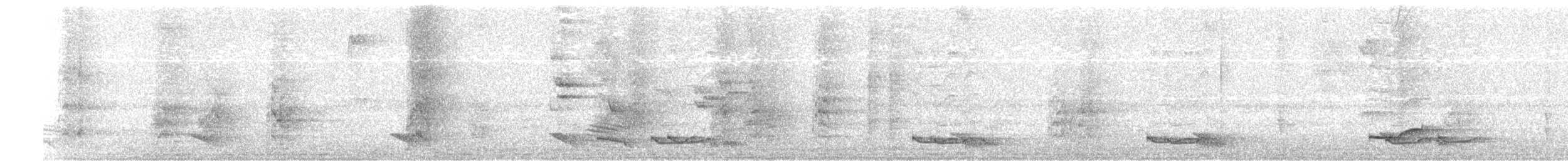 Saltarín Lanceolado - ML642200384