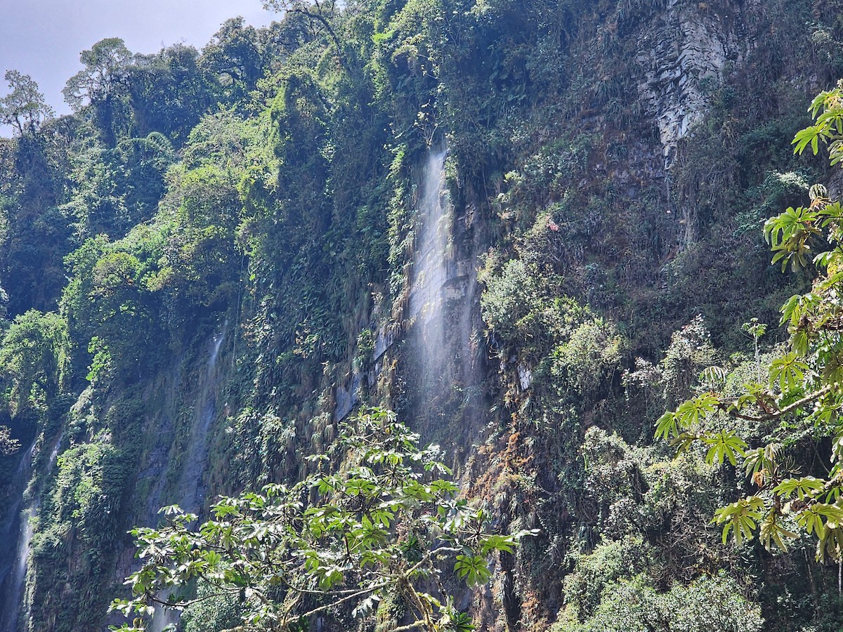 Nespecifikováno - Paul Fenwick