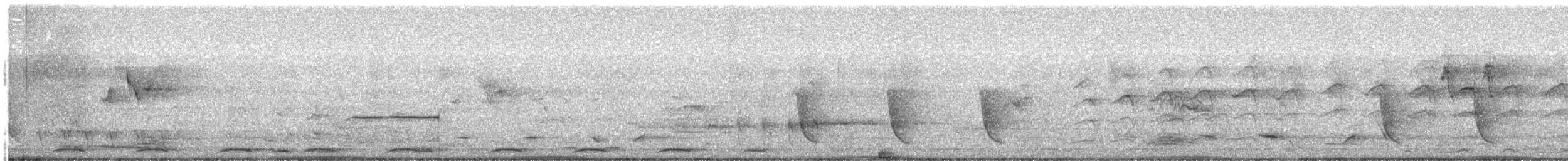 Wonga Pigeon - ML642201922