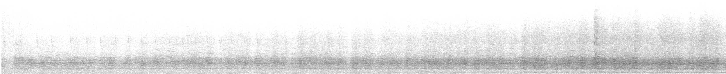Barnacle Goose - ML642204745