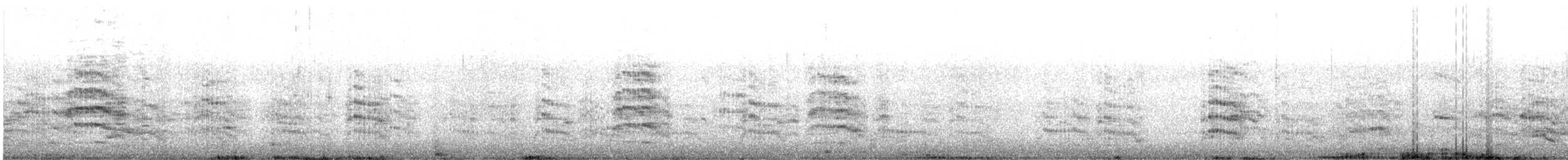 オオアジサシ - ML642206262