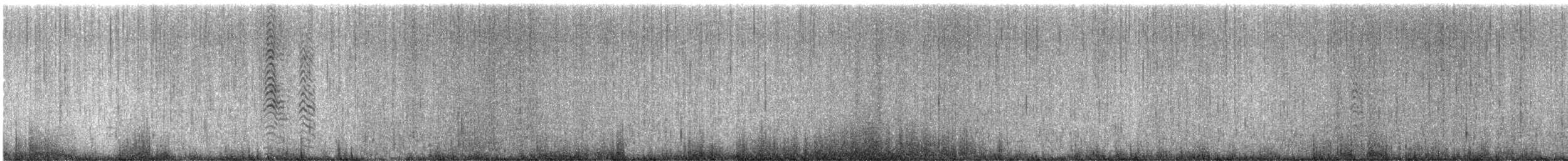 Wedge-tailed Shearwater - ML642206558