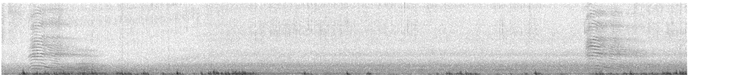 Gray Go-away-bird - ML642207122