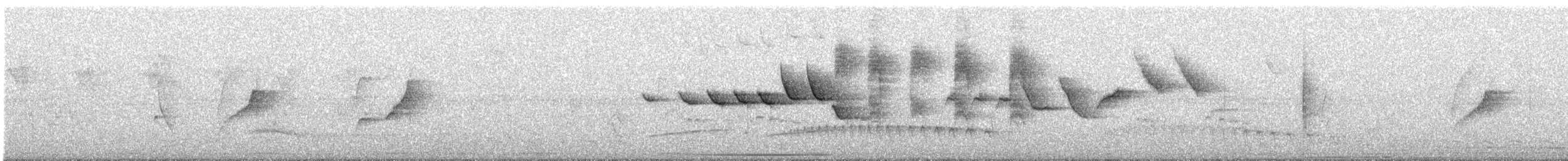 Gray-bellied Spinetail - ML642207686