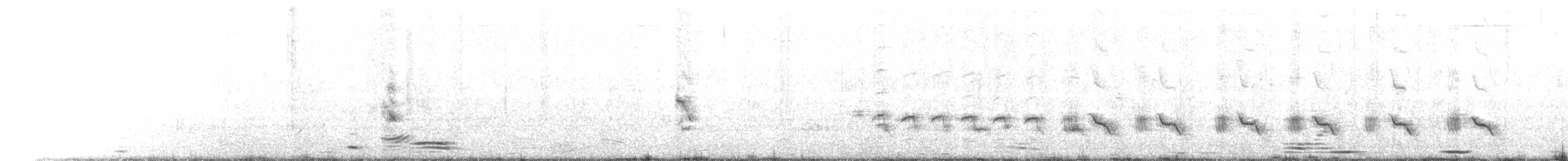 מיינה מצויה - ML642207710