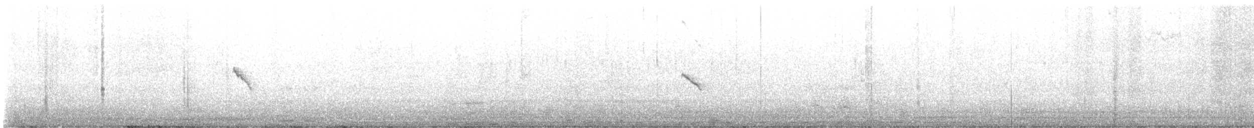 Iberian Chiffchaff - ML642207851