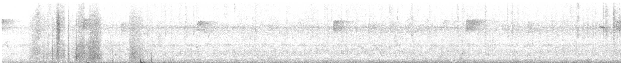 Carolina Wren - ML642209430