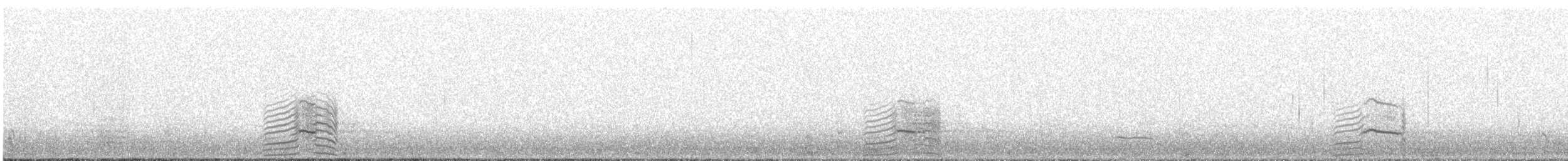 Australian Tern - ML642209531