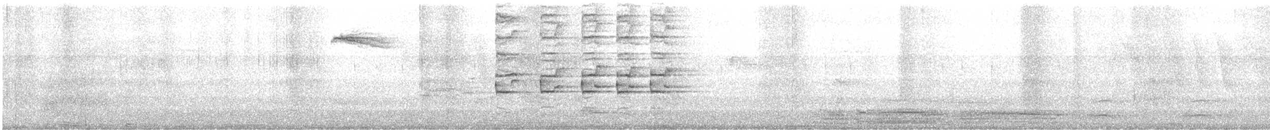 brasilskifertrost - ML642210671