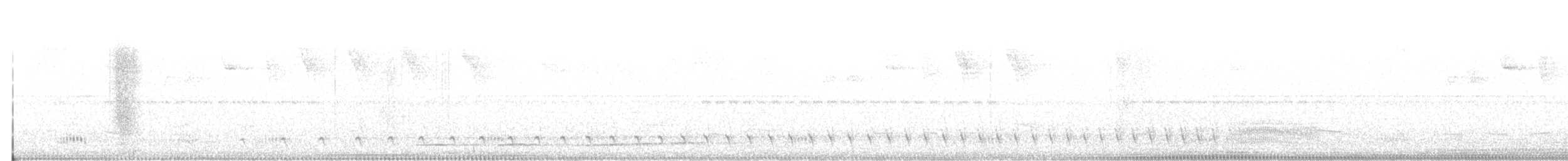 Great Antshrike - ML642213352