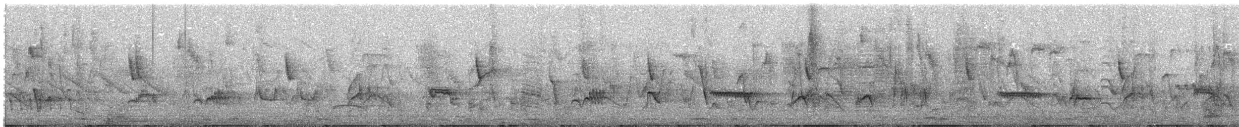 Austral Thrush - ML642213737