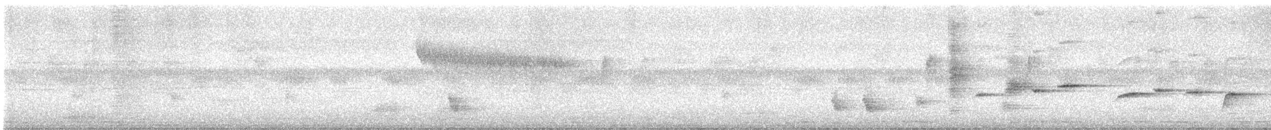 Abanico Pechipinto - ML642213891