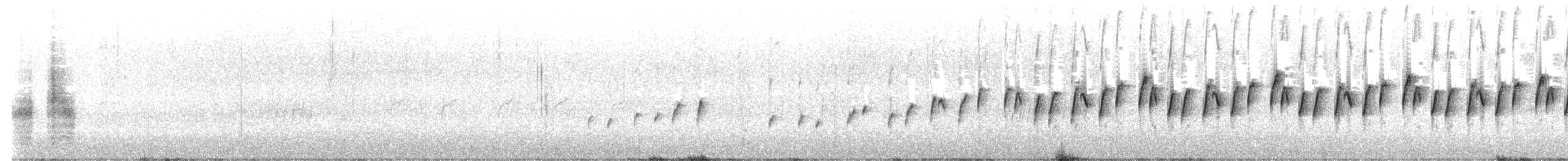Victorin's Warbler - ML642214052