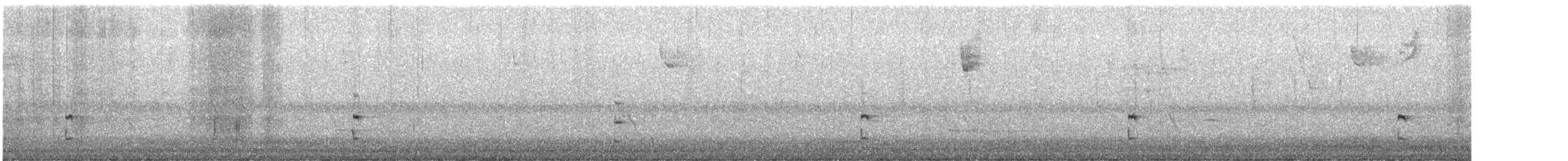 Sora - ML642214140