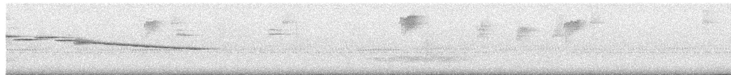 White-browed Warbler - ML642215803