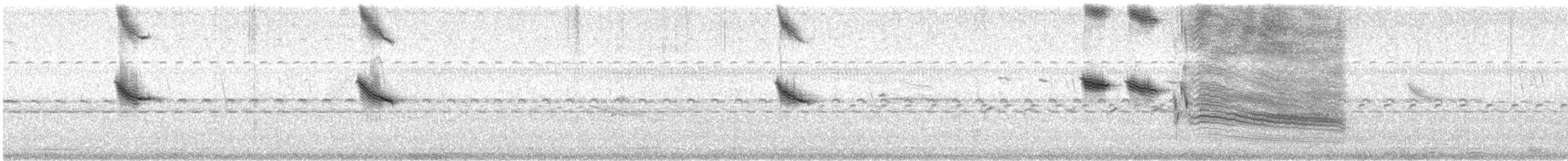 Chestnut-capped Blackbird - ML642216165
