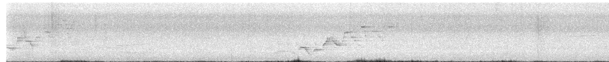 Zwergmusendrossel - ML642216479