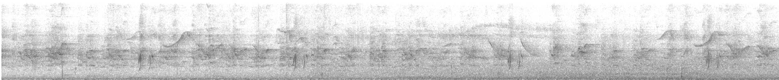 Streaked Flycatcher - ML642216730