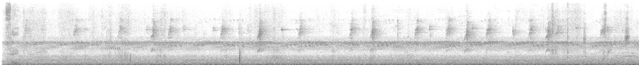 Connecticut Warbler - ML642217401