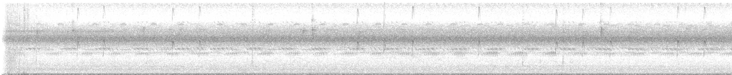 Solitary Sandpiper - ML642218309