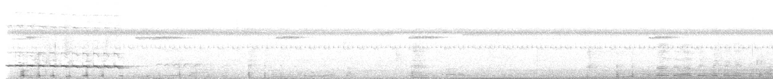 Mayan Antthrush - ML642218834