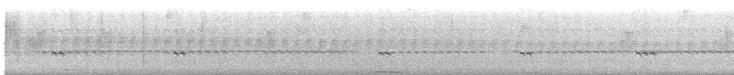 pigeon/dove sp. - ML642219109
