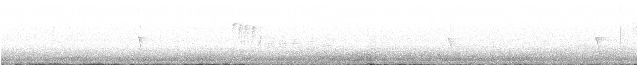 Black Phoebe - ML642219230