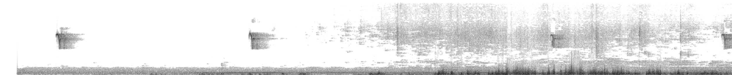 Social Flycatcher (Social) - ML642219768