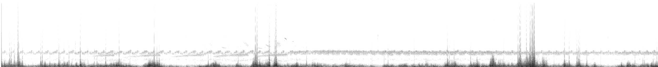 Semipalmated Sandpiper - ML642220946