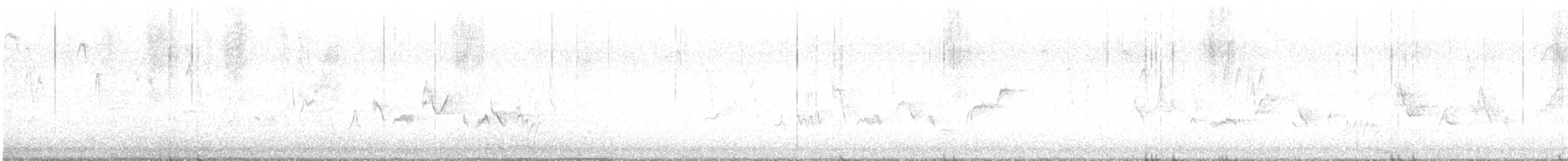 Warbling Vireo - ML642221303