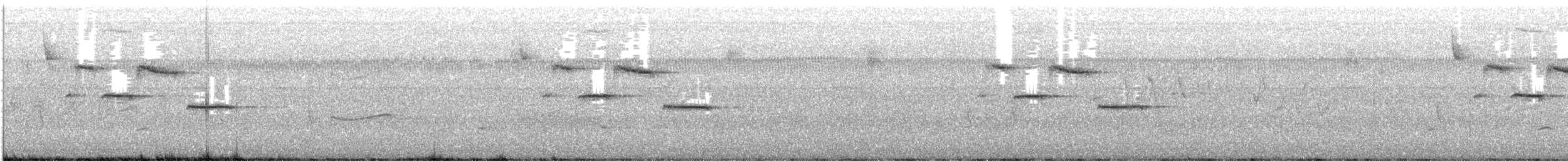 Carolina Chickadee - ML642221351