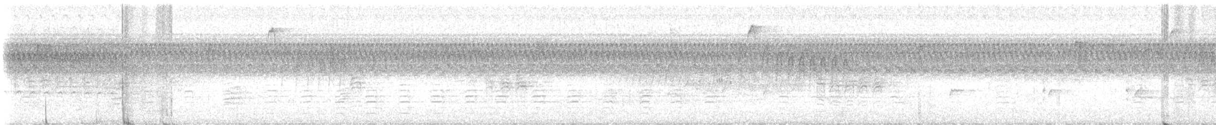 Red-breasted Nuthatch - ML642222318