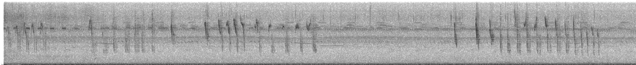 Sedge Wren - ML642223097