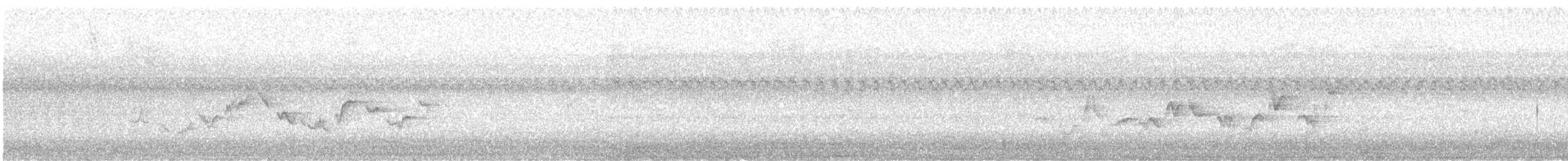 Warbling Vireo - ML642224577