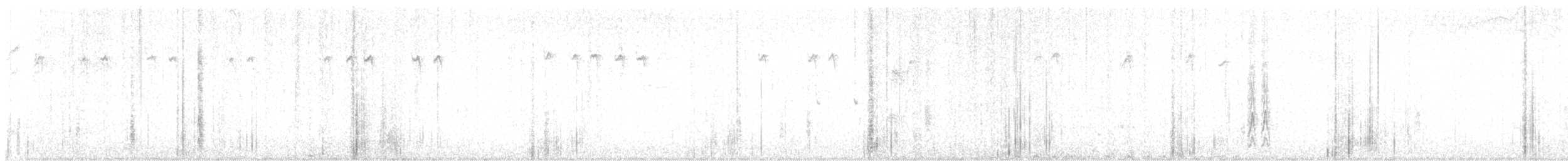 Great-tailed Grackle - ML642224663
