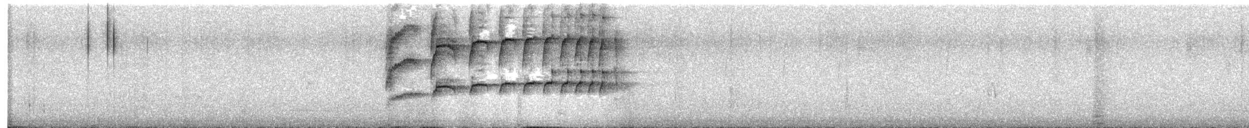 Barred Becard - ML642225705