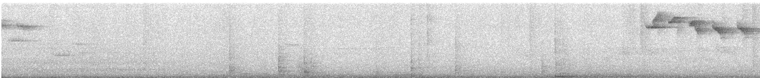 ニッケイハチドリ - ML642226502