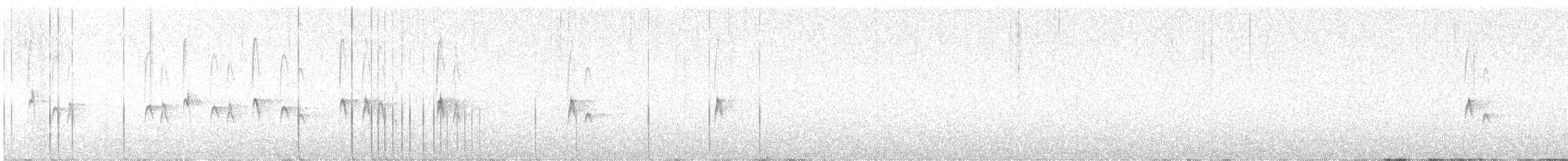 Pygmy Nuthatch - ML642226541