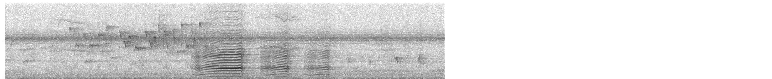 Black-and-white-casqued Hornbill - ML642227030