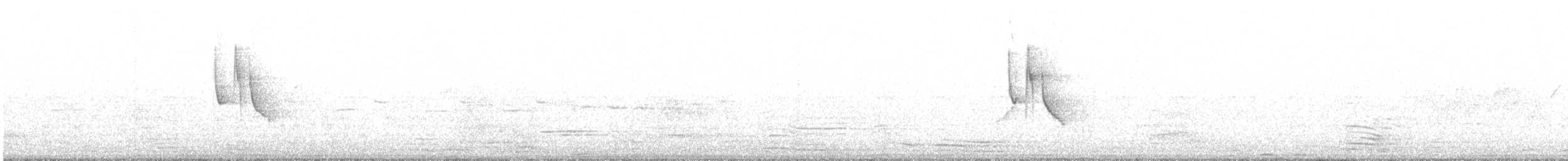 Marsh Tit - ML642227131